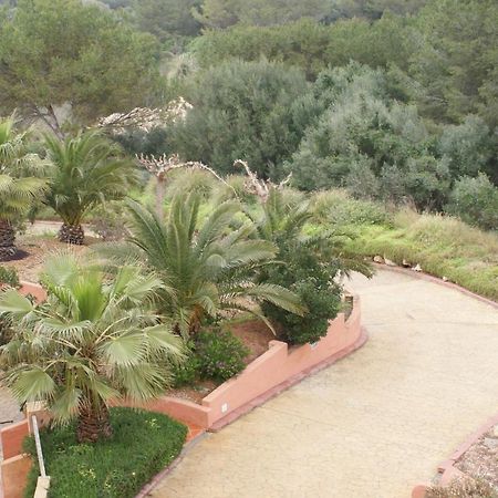 Apartamento Buganvillea 阿莱奥尔 外观 照片