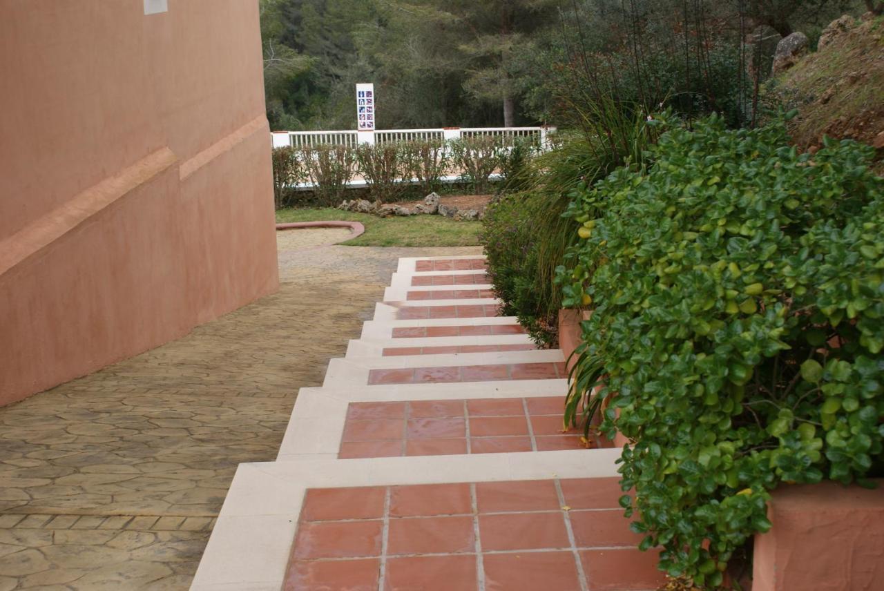Apartamento Buganvillea 阿莱奥尔 外观 照片